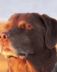 Let me know... Let me know ahh dog.